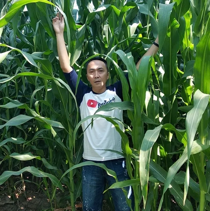 Dean Novel, Jalan Keluar Bagi Petani Jagung di Lombok 20200330_dean